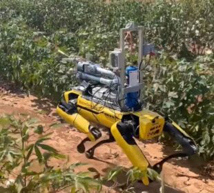 IZVOR: YOUTUBE / NEW SCIENTIST