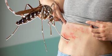 Foto-kolaž: Shutterstock