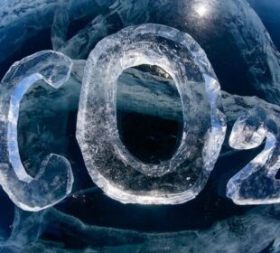 Foto: Zoonar GmbH / Alamy / Alamy / Profimedia