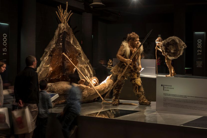Moderna predstava neandertalskog lovca u Galsko-rimskom muzeju u Belgiji... Foto: Arterra Picture Library / Alamy / Alamy / Profimedia