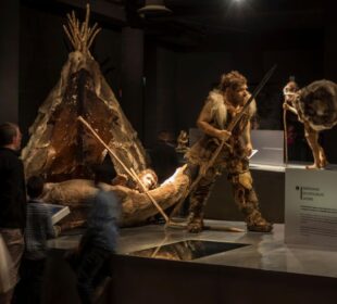 Moderna predstava neandertalskog lovca u Galsko-rimskom muzeju u Belgiji... Foto: Arterra Picture Library / Alamy / Alamy / Profimedia