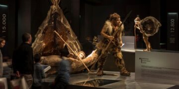 Moderna predstava neandertalskog lovca u Galsko-rimskom muzeju u Belgiji... Foto: Arterra Picture Library / Alamy / Alamy / Profimedia