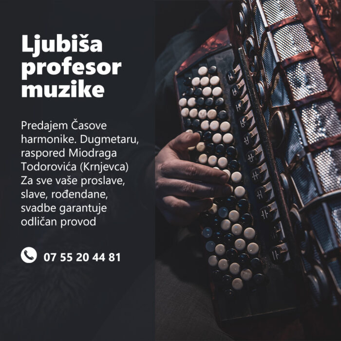 Ljubiša – Profesor Muzike, Muzičar Pariz Francuska
