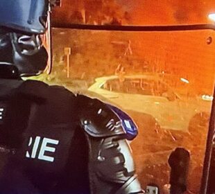 Izvor Novosti Foto - Goran Čvorović