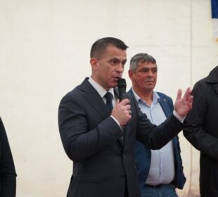 Ministar za dijasporu Đorđe Milićević