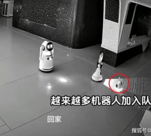 Robot ubedio 12 robota da prekinu rad Foto PrtScr Odditycentral