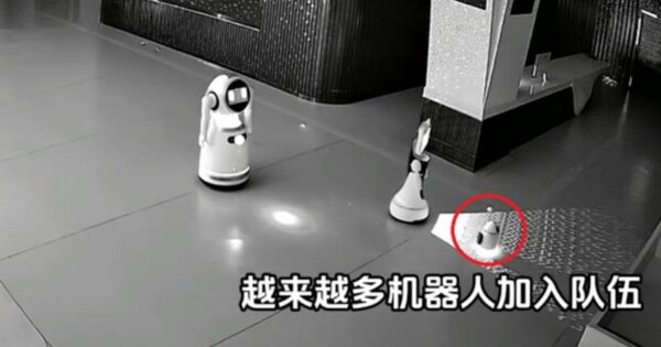 Robot ubedio 12 robota da prekinu rad Foto PrtScr Odditycentral