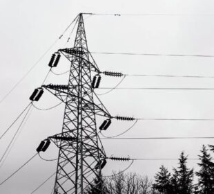 Izvor MONDO foto Stefan Stojanović