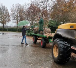 Jedan od najvećih rasadnika u Evropi i svetu
