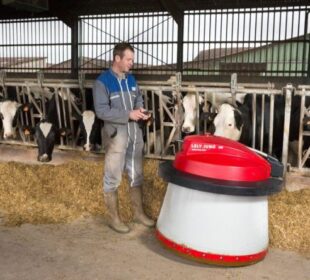 Krave i veštačka inteligencija Izvor Mondo Claudius Thiriet AFP Profimedia