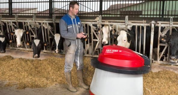 Krave i veštačka inteligencija Izvor Mondo Claudius Thiriet AFP Profimedia