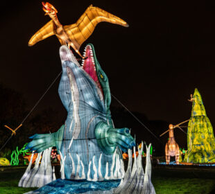 Park iz doba Jure Festival svetlosti 2024-2025 u Jardin des Plantes