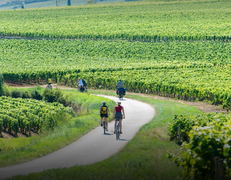 Turizam u Francuskoj - Biciklističke staze