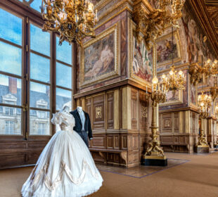 Chateau de Fontainebleau Dvorac Fontainbleau Francuska