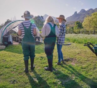 Inovativan pristup poljoprivrednih dobara u Holandiji