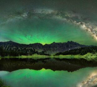 World Nature Photography Awards 2025