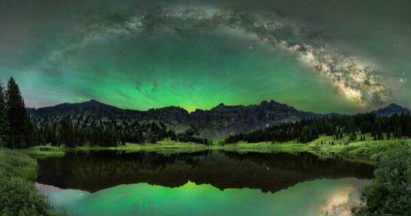 World Nature Photography Awards 2025